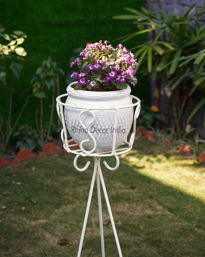 Elegant One Pot Planter